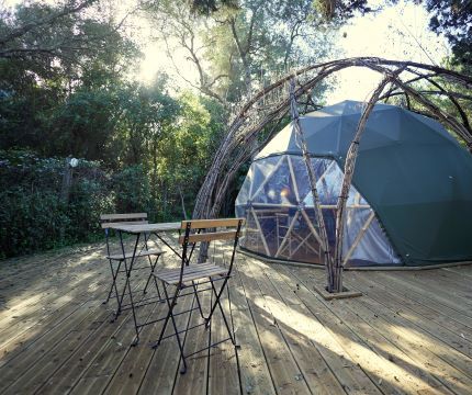 willow-tree-dome-salema-eco-camp-out