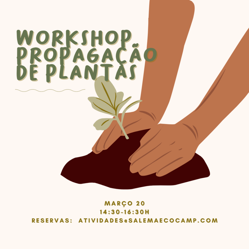 Workshop Propagação de plantasplantação