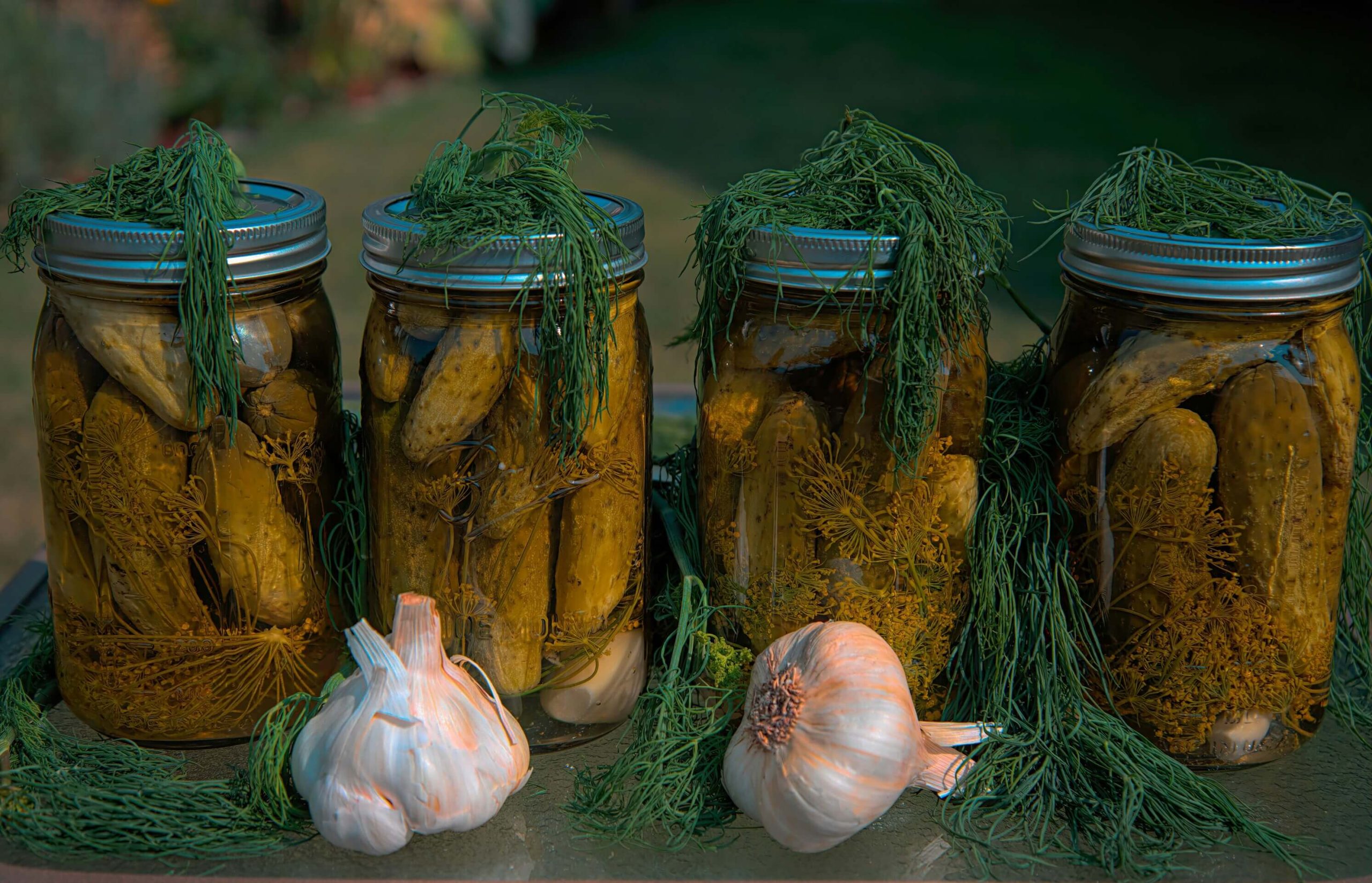 Fermentar Vegetais em Casa: Pickles Simples e Rápidos