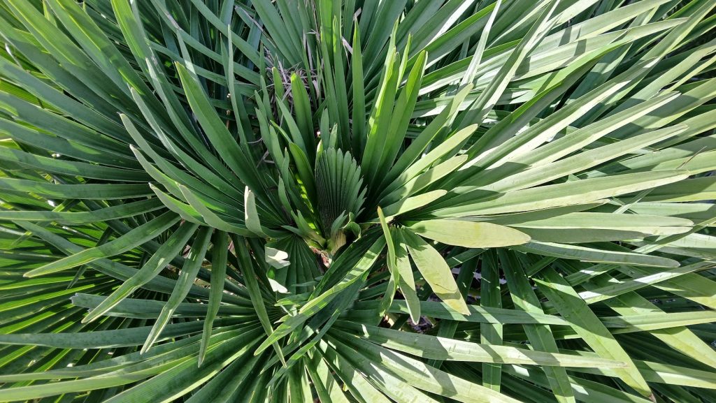 Imagem de destaque do evento Workshop de Empreita