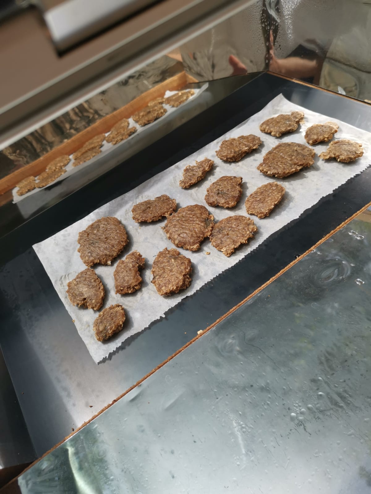 Fornos Solares – Cozinhar de Forma Sustentável